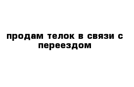 продам телок в связи с переездом